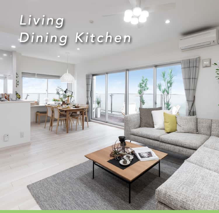 Living Dining Kitchen